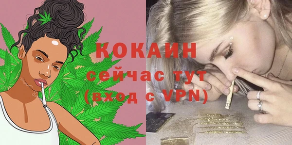 МДПВ Богданович